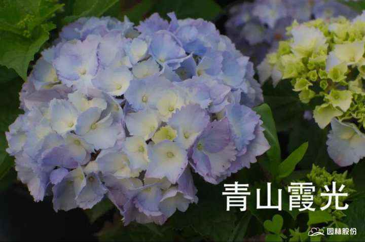 微信图片_20220720164039.jpg