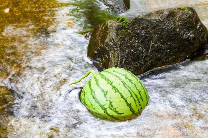 滾滾熱浪在大地四處翻騰,在炎蒸暑煮的天氣裡,人們沉李浮瓜,輕搖蒲扇