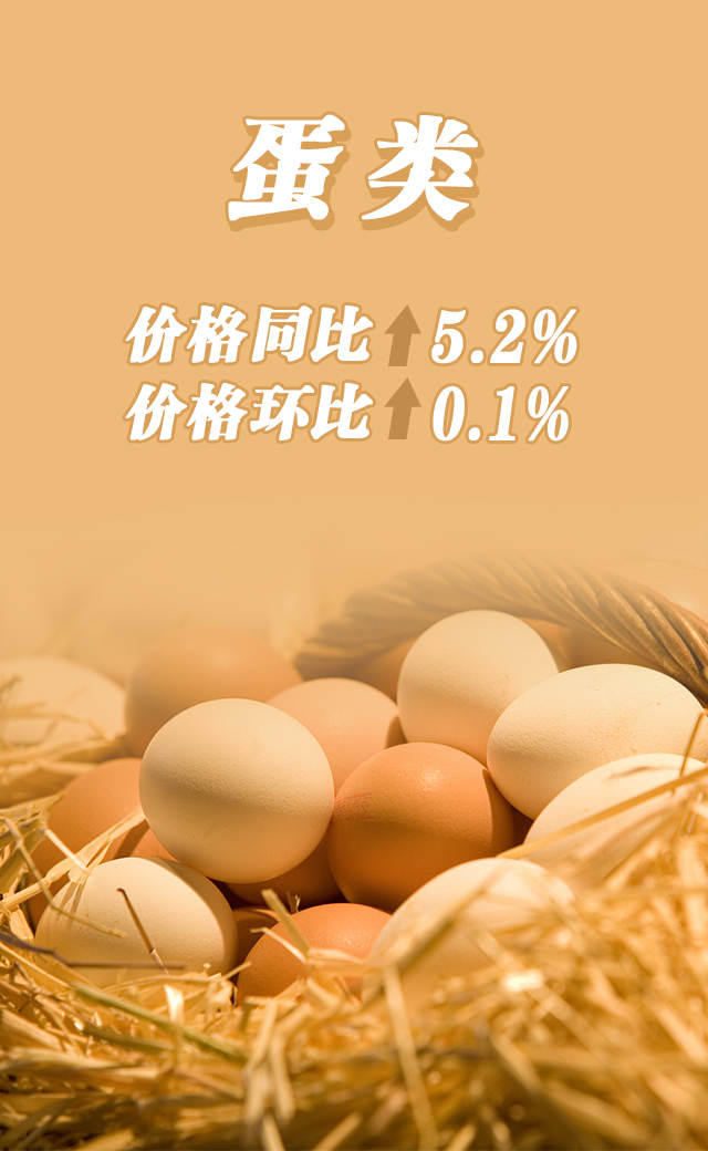 3蛋类.jpg