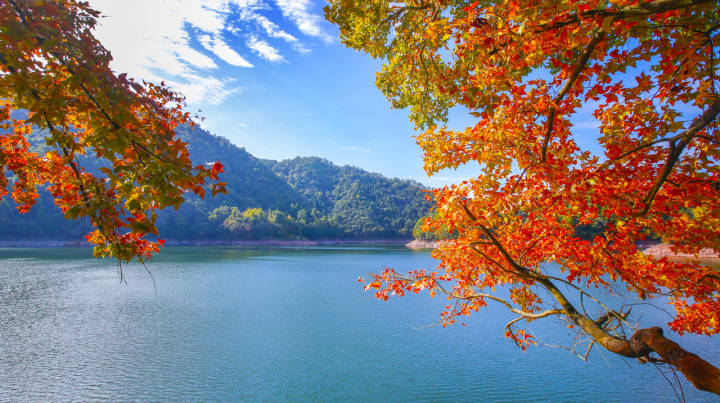 千岛湖红叶湾观景平台图片