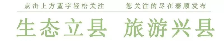 泰顺县人口_一组图!带您了解泰顺最新人口数据(2)