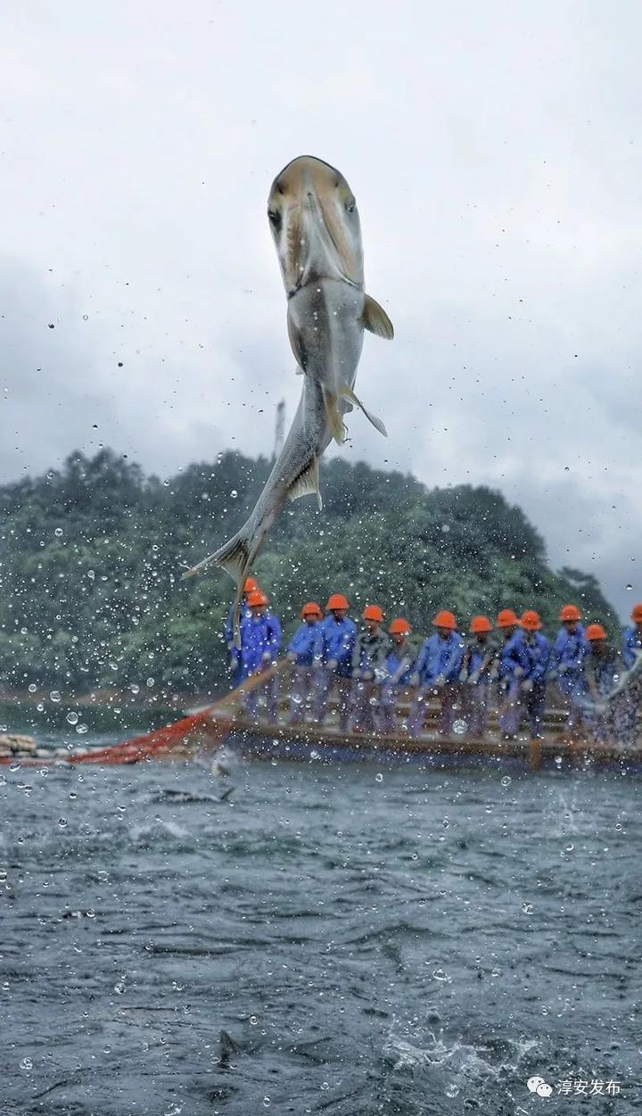 央視把千島湖都拍了個遍!這次又將帶你探秘不一樣的千島湖