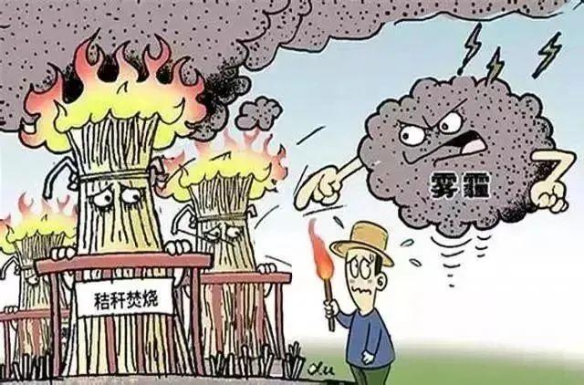 秸秆禁烧,你做到了吗?科学处理秸秆的方法请收好