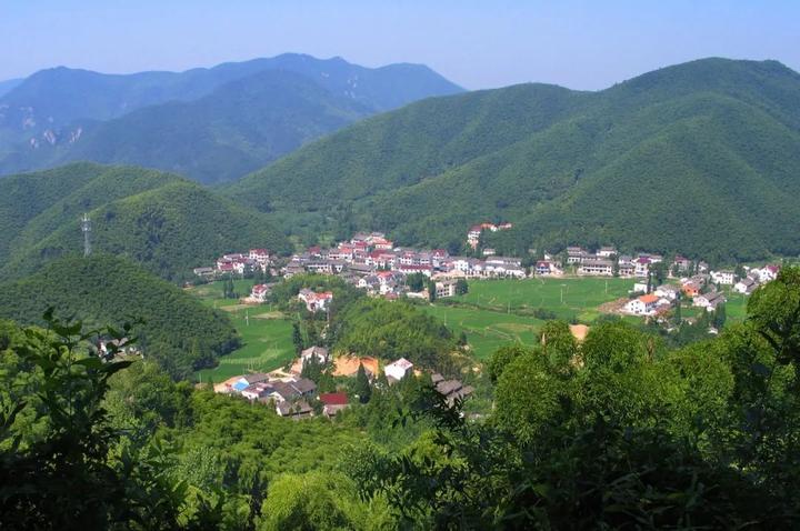 德清县莫干山镇后坞村村内青山耸秀,清泉满谷,古木参天,碧波竹海