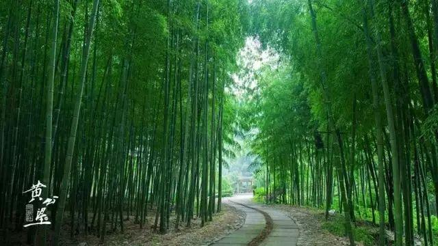 @富阳人,浙江25家省级以上森林公园优惠