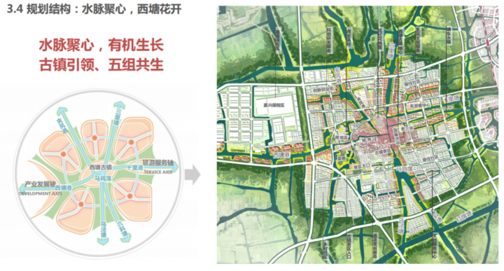 姚庄镇行政地图图片