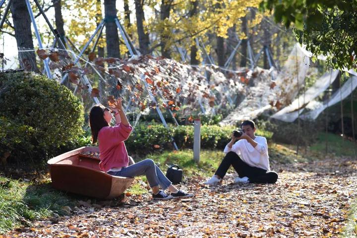 湖城這條新晉網紅步道你打卡了嗎