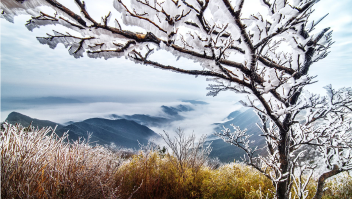 《太子尖冬韻》 拍攝/汪榮昌《太子尖雪》拍攝/方梁百丈嶺雪景大明山