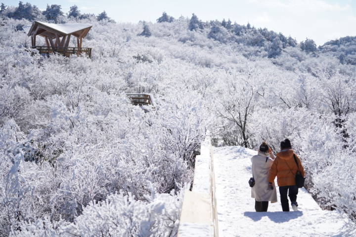 白竺青草湖雪景图片