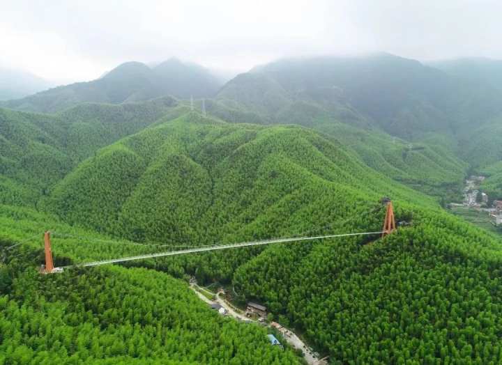 龍王山景區南太湖新區▲點擊圖片,查看大圖▲古木博物館在湖州過年