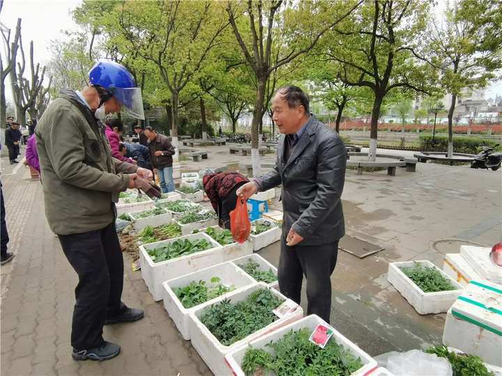 數字化管理!嘉善當季蔬菜秧苗自產自銷點出攤啦!