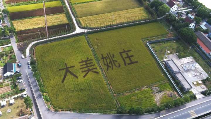 姚庄镇横港村图片